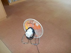 カ－ペット洗浄の流れ